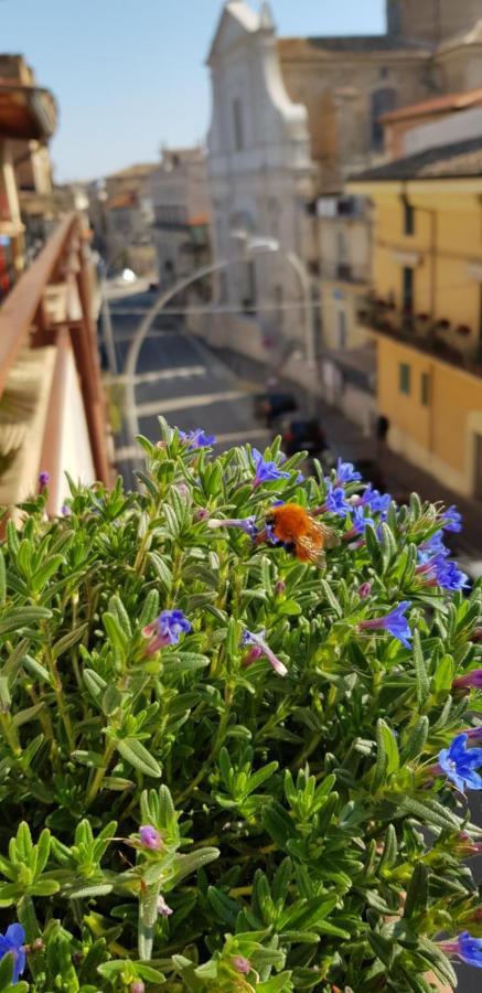 Il Nido B&B San Vito Chietino Exterior photo